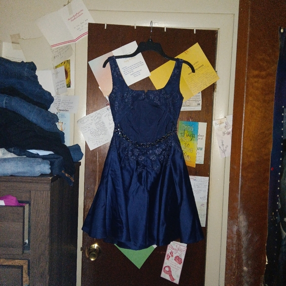 ALYCE PARIS fit and flare formal dress - Picture 6 of 8